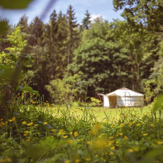 ruimt-yurt-bloemen