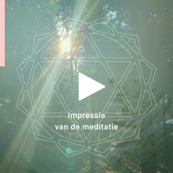 shakra’s impressie audio hart-01