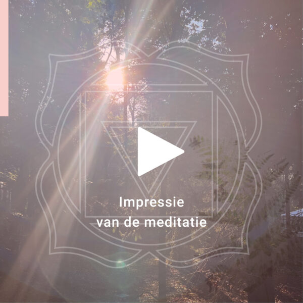 shakra’s impressie audio wortel-07
