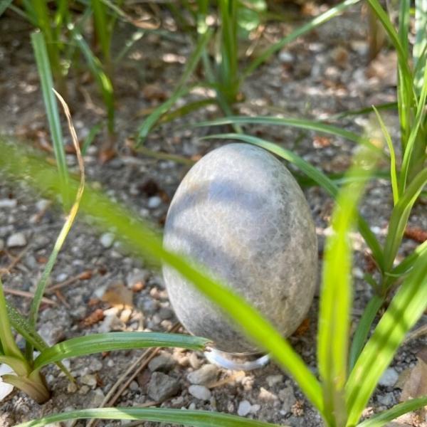 IMG_8076