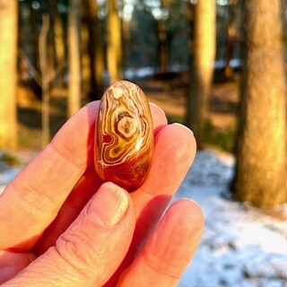 Oog van shiva