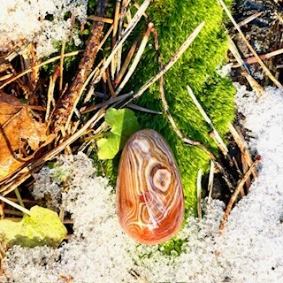 Oog van shiva
