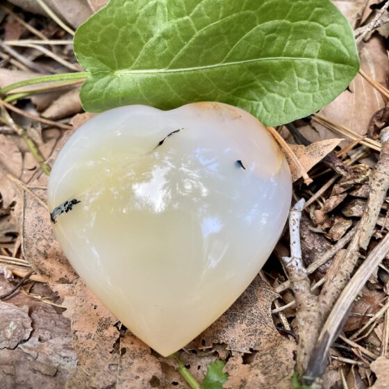 dendriet agaat