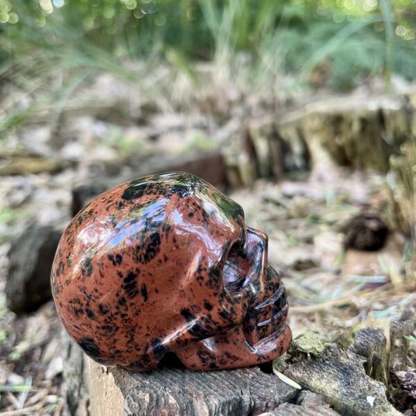 mahonie obsidiaan schedel