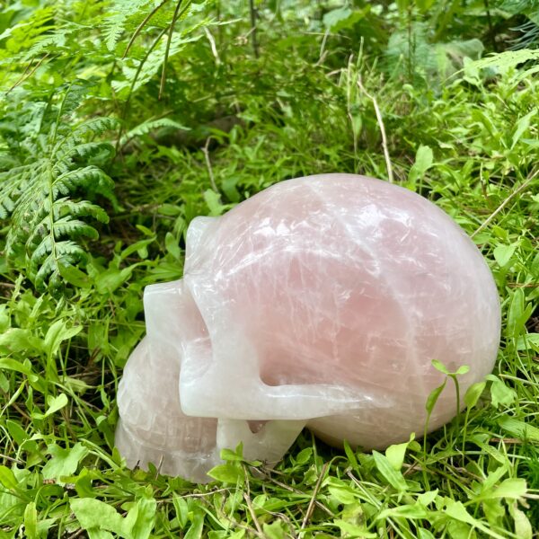 Rozenkwarts schedel