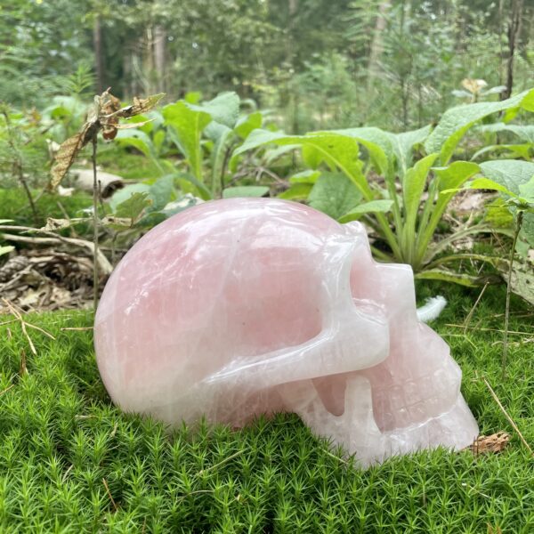Rozenkwarts schedel