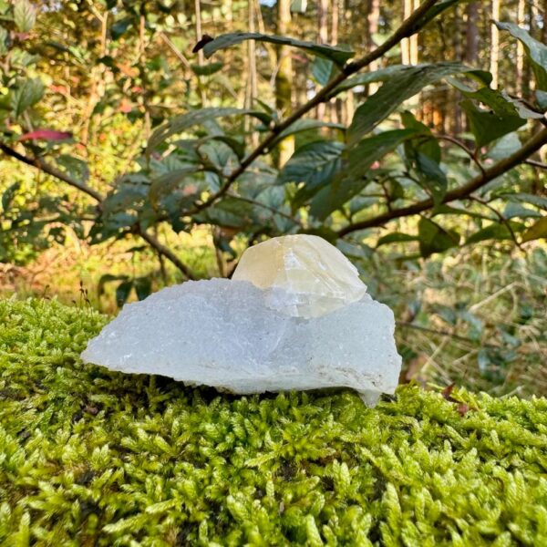 0279 Woestijn Chalcedoon 1
