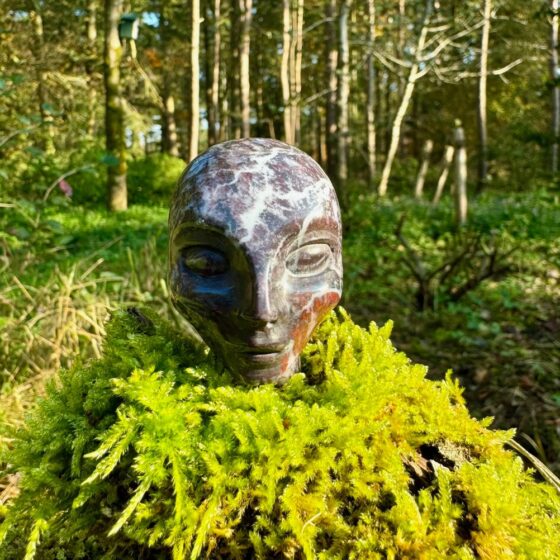 0427 Elvenone van Bloedkwarts