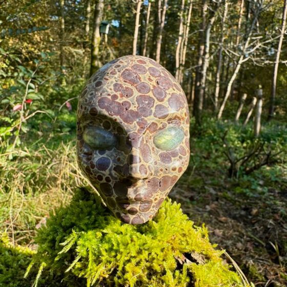 0470 ElvenOne van Asteroid JAspis