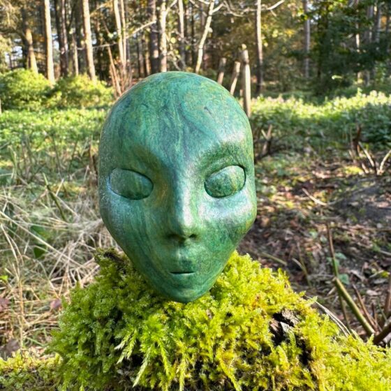 0471 ElvenOne van Verdiet
