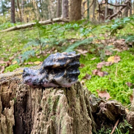 0575 Mini Drakenschedel van Jaspis