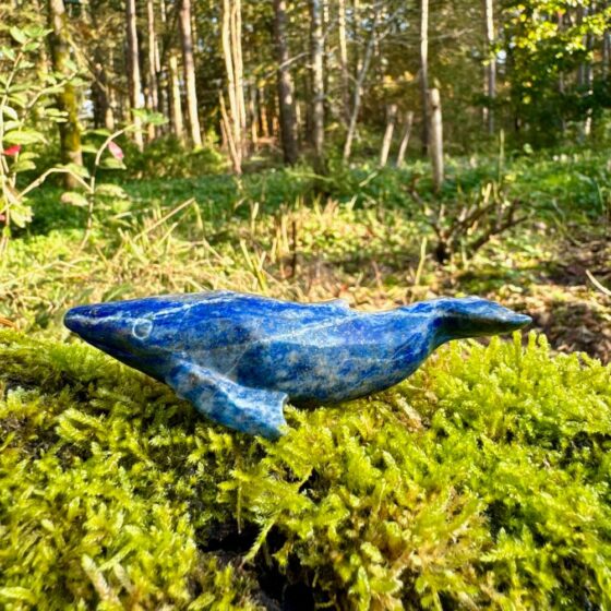 2151 Walvis van Lapis Lazuli 2