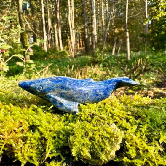 2154 Walvis van Lapis Lazuli 2