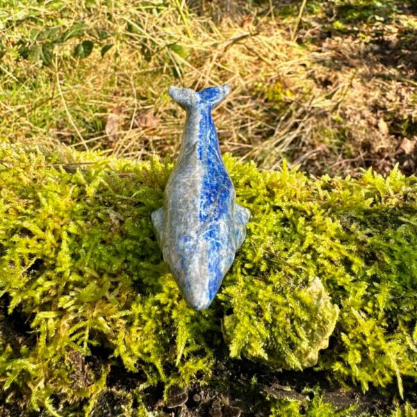 2154 Walvis van Lapis Lazuli