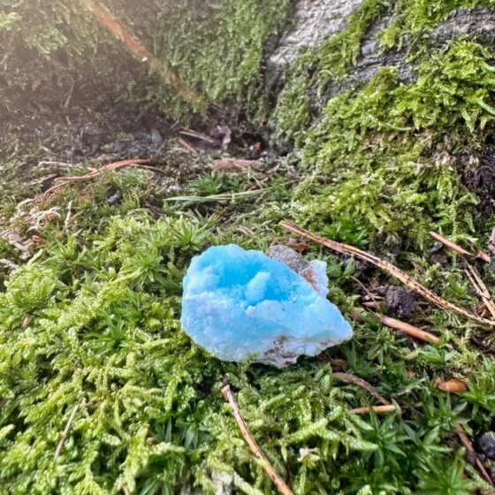 0298 Larimar