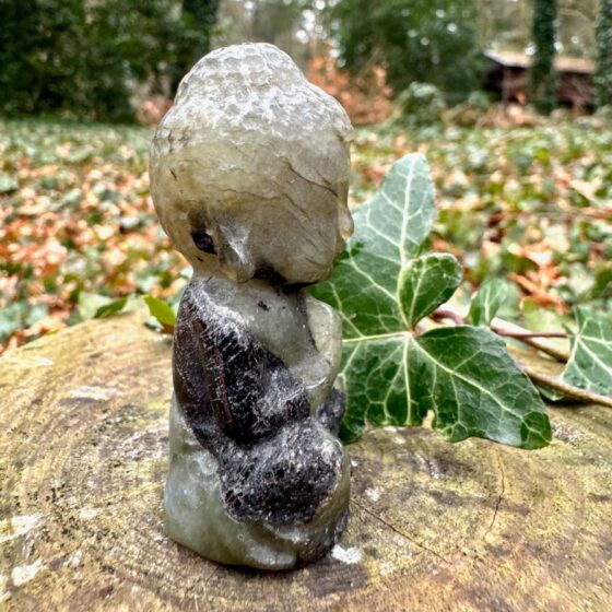 542 labradoriet baby budha