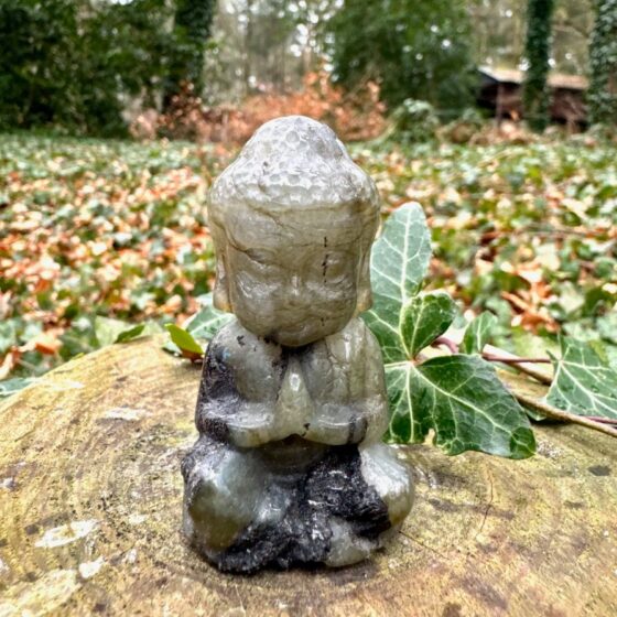 542 labradoriet baby budha