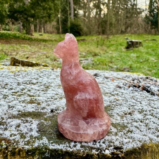 2124 Kat van Aardbeienkwarts