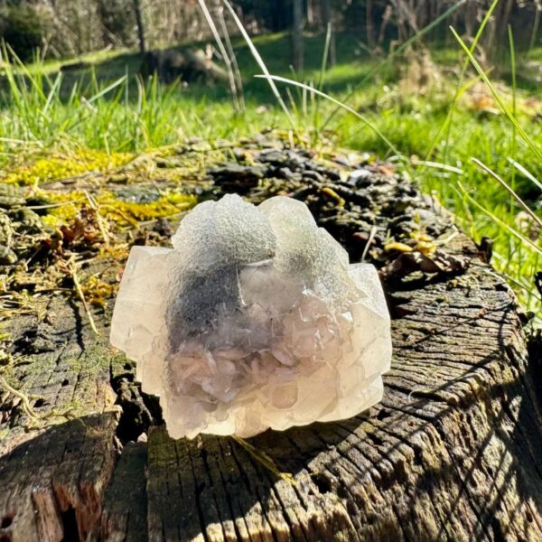 527 Chalcedoon met Apofyliet